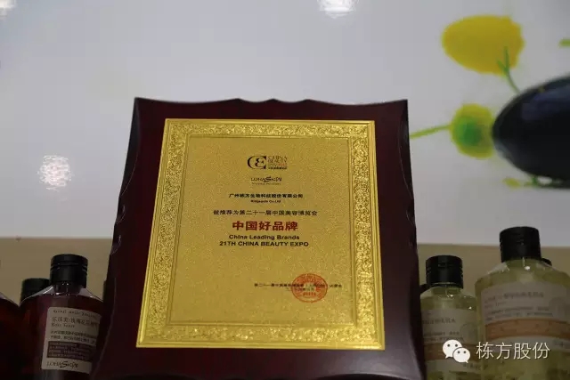 科技引領(lǐng)美麗▏棟方股份榮獲“中國(guó)好品牌獎(jiǎng)”！