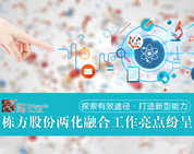 探索有效途徑，打造新型能力——棟方股份兩化融合工作亮點(diǎn)紛呈