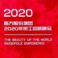 新棟能?美世界丨棟方股份集團2020年千人家宴暨員工迎新晚會盛大舉行